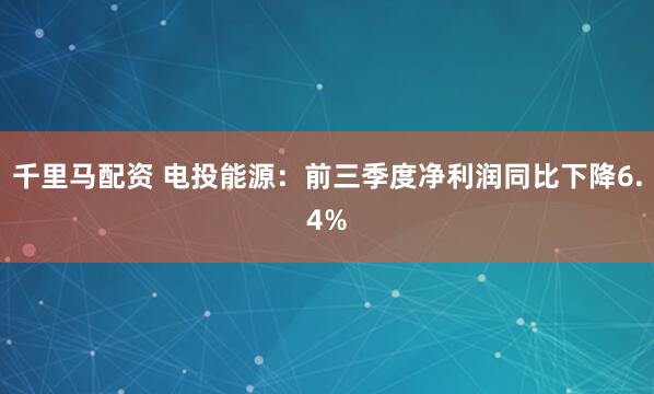 千里马配资 电投能源：前三季度净利润同比下降6.4%